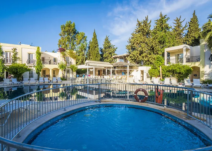 Paloma Family Club ביטז