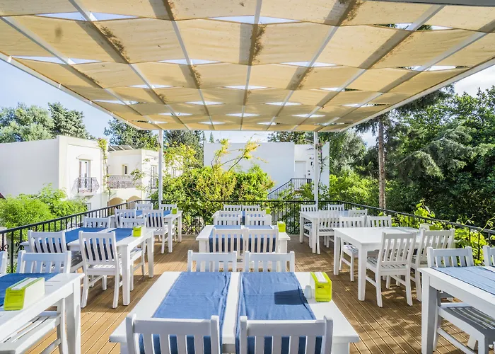 Paloma Family Club 호텔